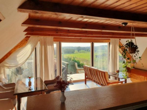 Fernblick